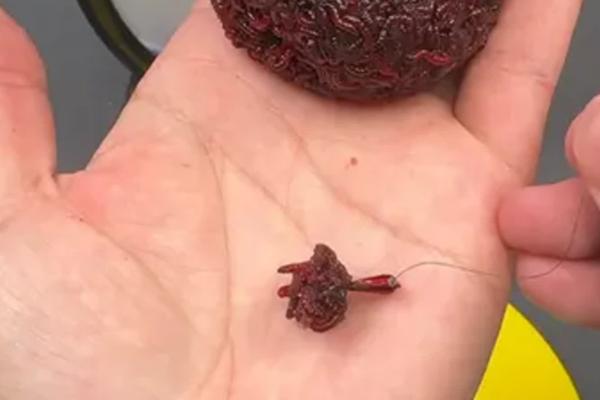 钓鱼红虫饵料效果好不好，总体看效果不错