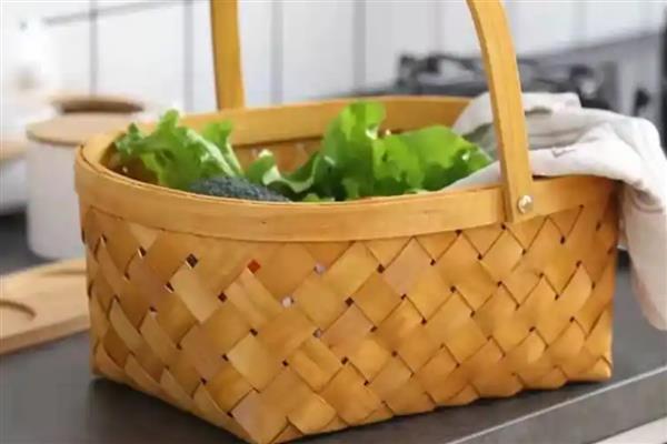 兔子喜欢什么玩具，喜欢厚纸箱、报纸等