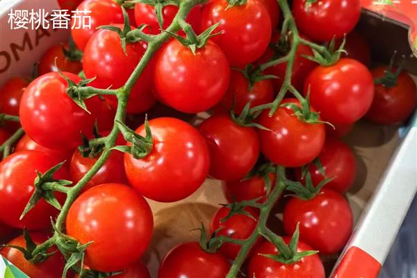 番茄有什么品种，樱桃番茄、梨形番茄等品种很常见