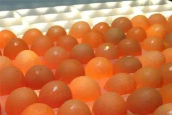 孵化小鸡的最佳温度，通常是在37.8°C左右