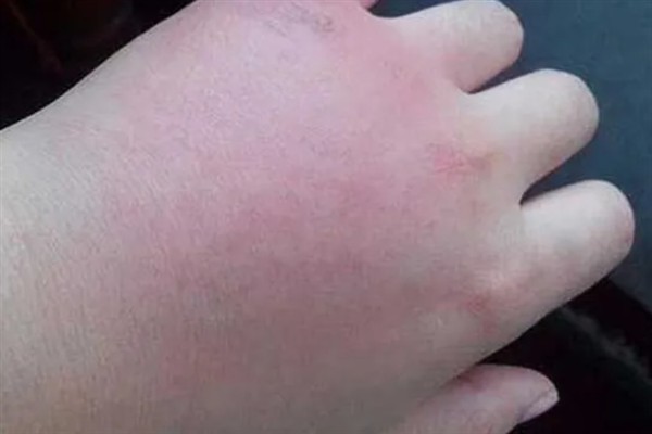 中国大虎头蜂的简介，学名叫做金环胡蜂