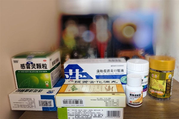 中国大虎头蜂的简介，学名叫做金环胡蜂
