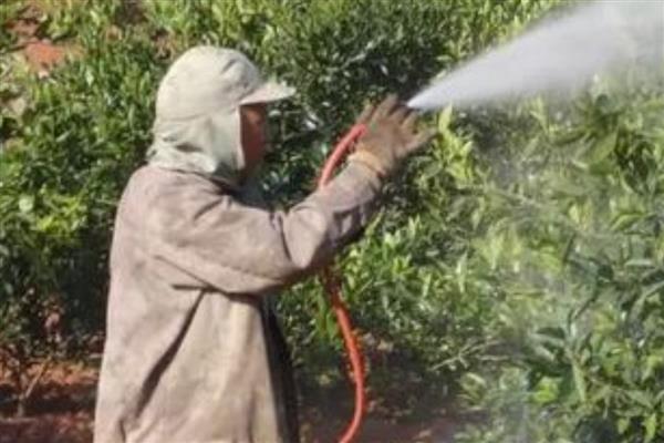 水胺硫磷的残留期，为7-14天左右