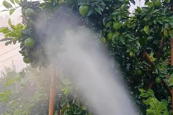 水胺硫磷的残留期，为7-14天左右