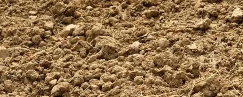 土壤的质地类型，分为砂土、壤土、黏土