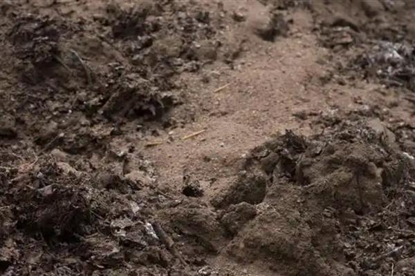 土壤的质地类型，分为砂土、壤土、黏土