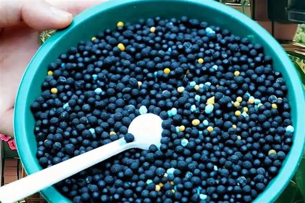绿萝用什么肥料好，可以用复合肥、叶面肥等