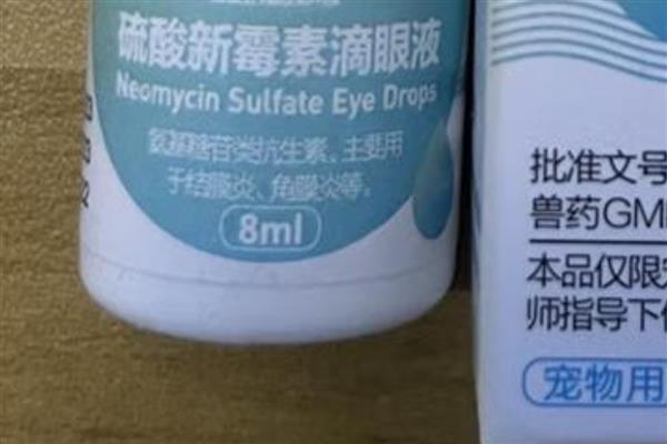 小狗眼睛红红的原因，可能是结膜炎症导致的