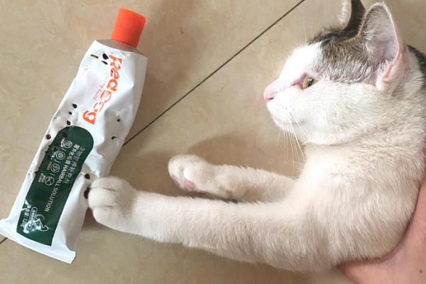 猫咪会吐食的原因，主要是进食过多或过快、体内出现寄生虫等因素所致