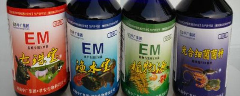 em菌多长时间可以使用一次，用途决定使用频率