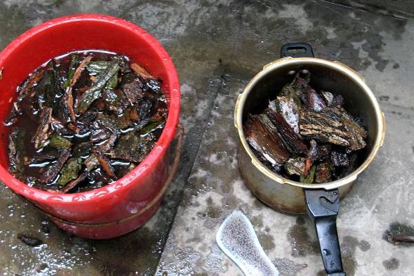 柳树皮的腐熟方法，浸泡消毒后放入容器中密封发酵