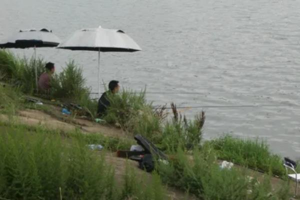 7月份要钓深吗，水温较高大部分情况均可钓深