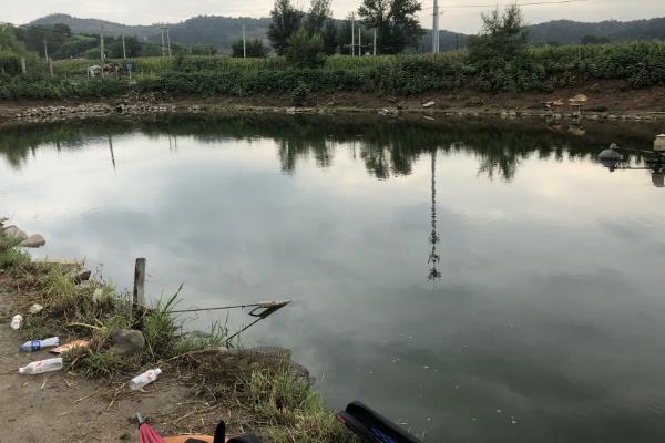 7月份要钓深吗，水温较高大部分情况均可钓深