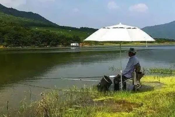 7月份要钓深吗，水温较高大部分情况均可钓深