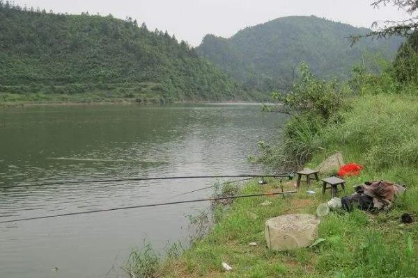 7月份要钓深吗，水温较高大部分情况均可钓深