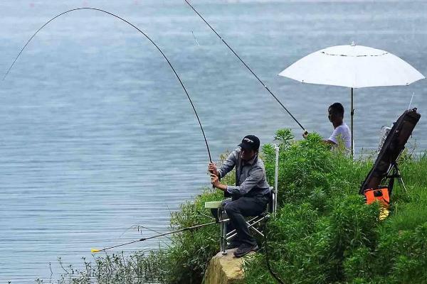 7月份要钓深吗，水温较高大部分情况均可钓深