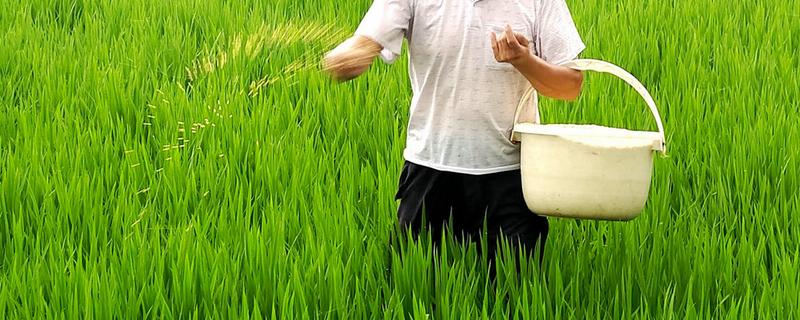农忙时如何避免化肥中毒，不能用汗手直接抓取