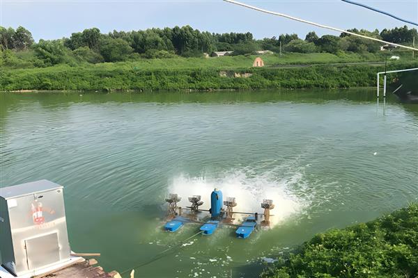 池塘泡沫多怎样处理，根据产生原因选择处理方法