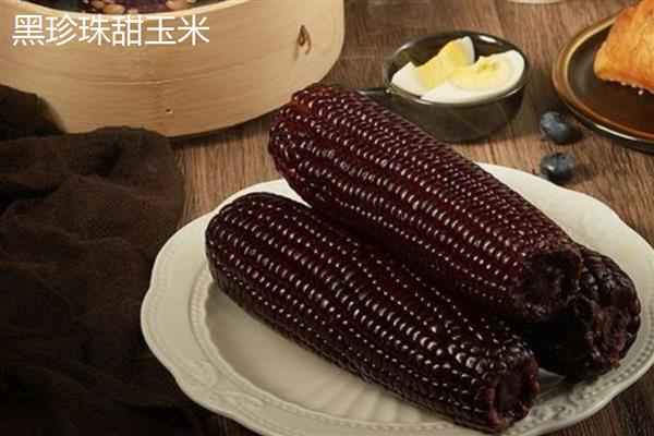 黑玉米怎么培育，抽穗扬花期需人工授粉1-2次