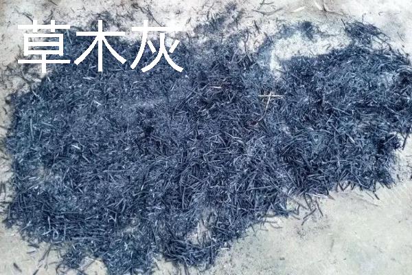 磷钾肥的种类，常见草木灰、磷酸二氢钾等类型