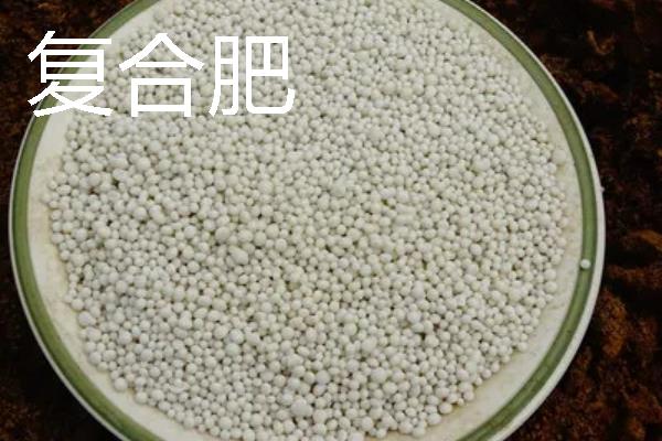 磷钾肥的种类，常见草木灰、磷酸二氢钾等类型