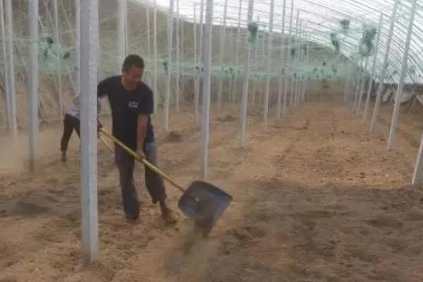 磷钾肥的种类，常见草木灰、磷酸二氢钾等类型