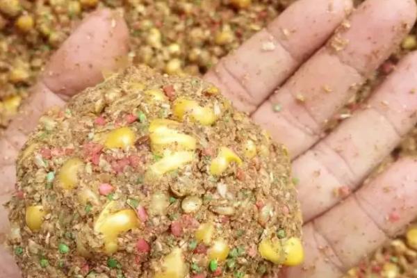 能不能直接用玉米打窝，效果较好可吸引草鱼、鳊鱼等鱼类