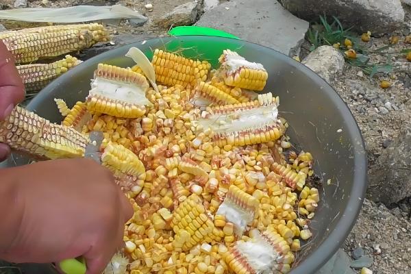 能不能直接用玉米打窝，效果较好可吸引草鱼、鳊鱼等鱼类