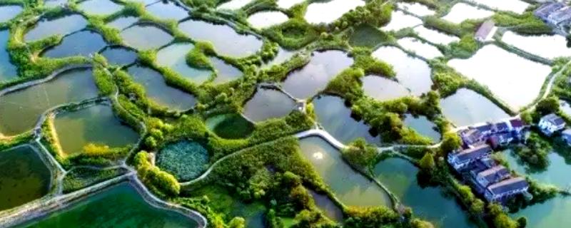 围湖造田有什么益处，可增加耕地面积、解决人口迁移安置等问题