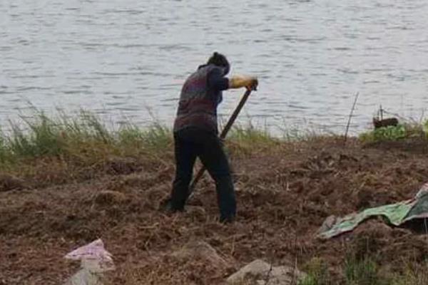 围湖造田有什么益处,可增加耕地面积、解决人口迁移安置等问题