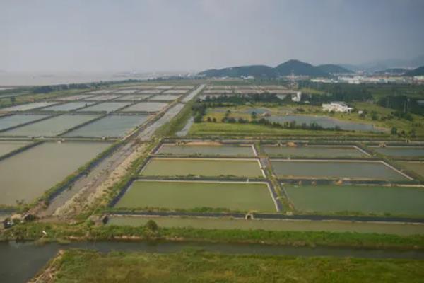 围湖造田有什么益处,可增加耕地面积、解决人口迁移安置等问题