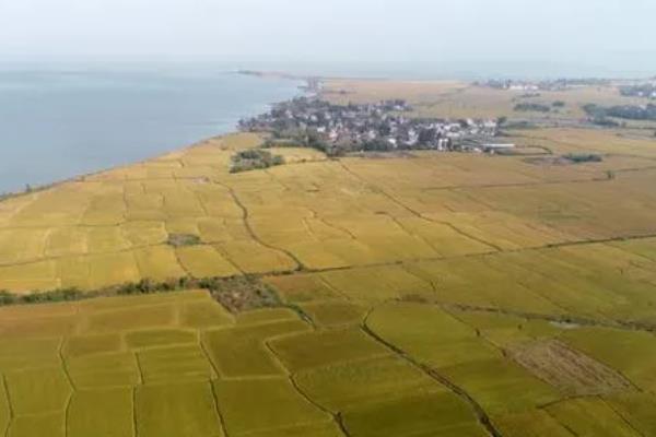 围湖造田有什么益处,可增加耕地面积、解决人口迁移安置等问题