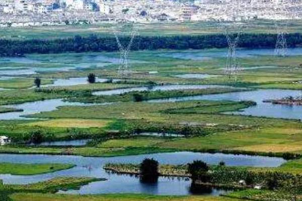 围湖造田有什么益处,可增加耕地面积、解决人口迁移安置等问题