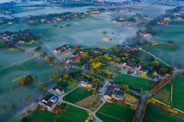 围湖造田有什么益处,可增加耕地面积、解决人口迁移安置等问题