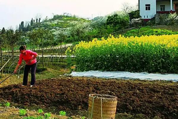 化肥为什么要深施，能起到减少挥发、提高肥料利用率等作用