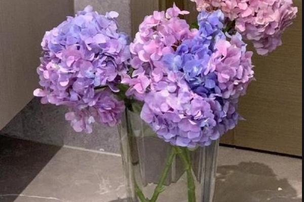 绣球花是要花头泡水里醒花吗，花头不可浸泡