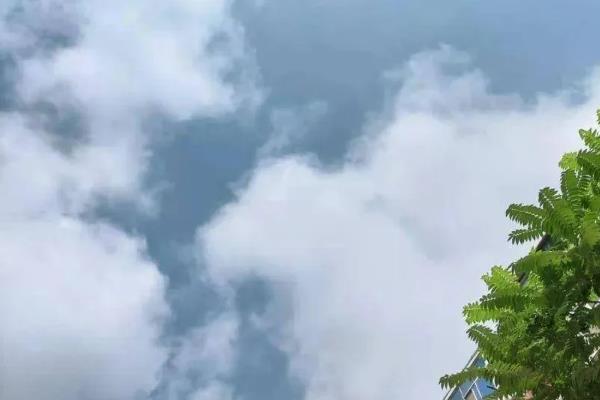 出伏是什么意思，意味着伏天结束
