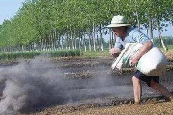 怎么用沼肥生产无公害蔬菜，沼液可兑水稀释后再喷施叶片