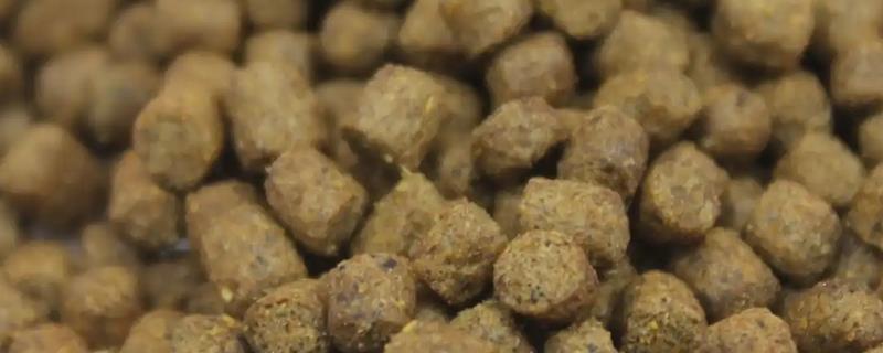 通威饲料的特点，对于水环境的污染较小