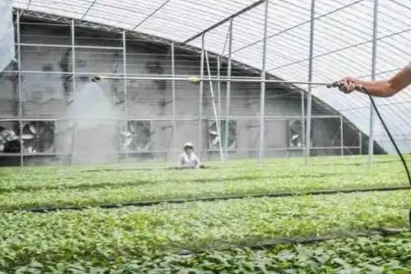正确对蔬菜使用农药的方法，轮换用药可延缓病虫害产生抗药性