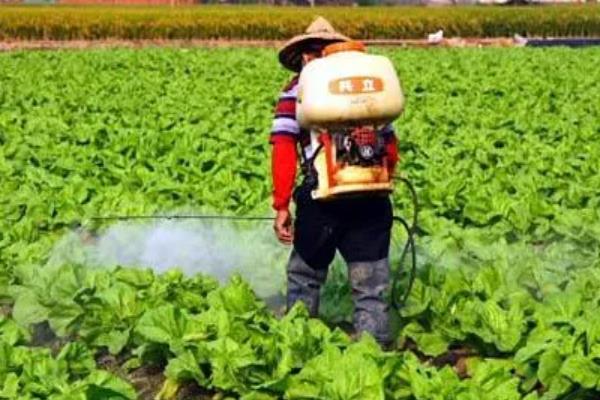 苯醚甲环唑有什么特点，杀菌谱广泛