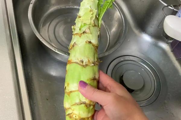 莴笋可以保存多久，不削皮最长可以保存一周左右