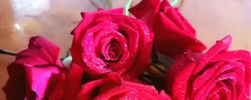 花有哪些花语，不同花卉的花语不同