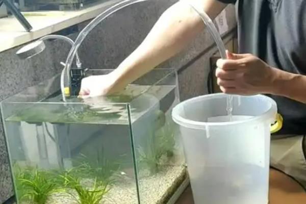 养金鱼用什么水好，可以选择河水和湖水