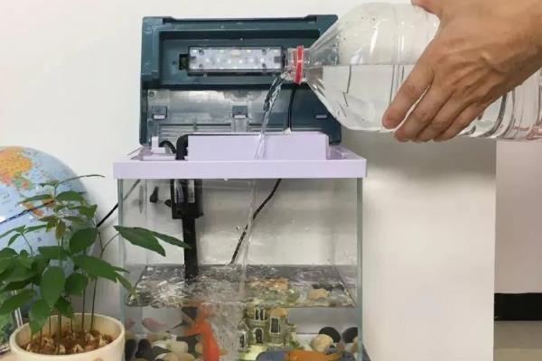 养金鱼用什么水好，可以选择河水和湖水