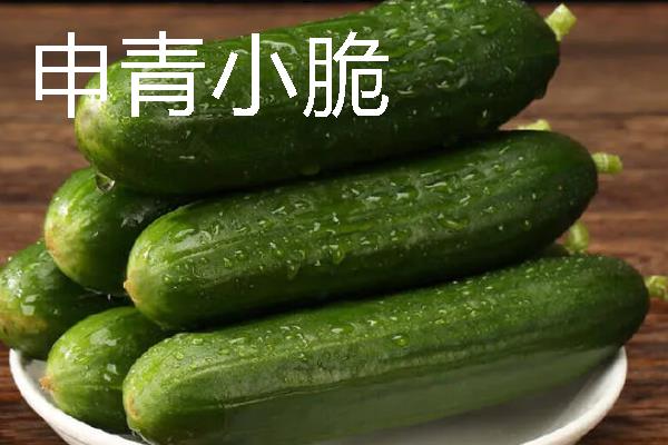 水果黄瓜是不是转基因，不属于转基因食品
