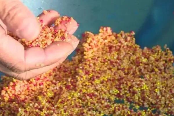 钓鱼怎么拌饵料，一般就是兑水均匀混合即可