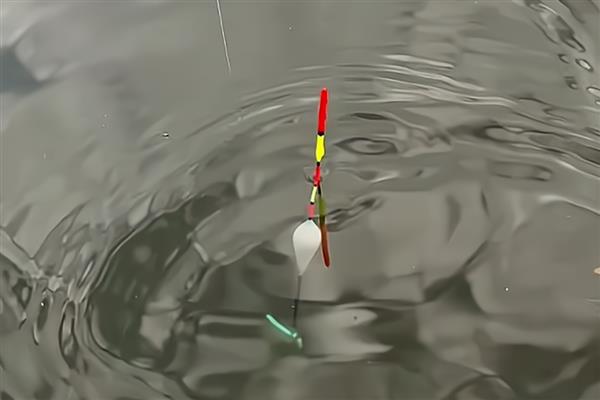 为什么都用立漂而不用七星漂，其适应性和稳定性都不如立漂