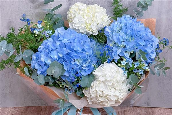 绣球花有什么花语，不同颜色代表的含义有区别