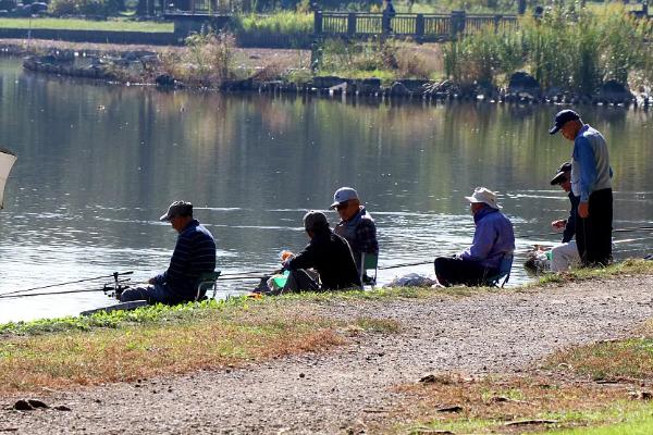 早春钓鱼的最佳时间，选择晴朗天气的中午